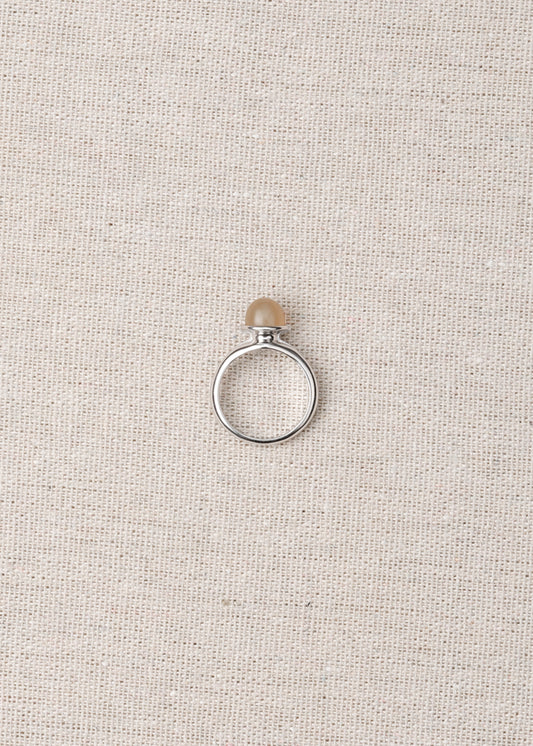 Nook Enclave Ring in Sheep Horn - RIVERLAKE