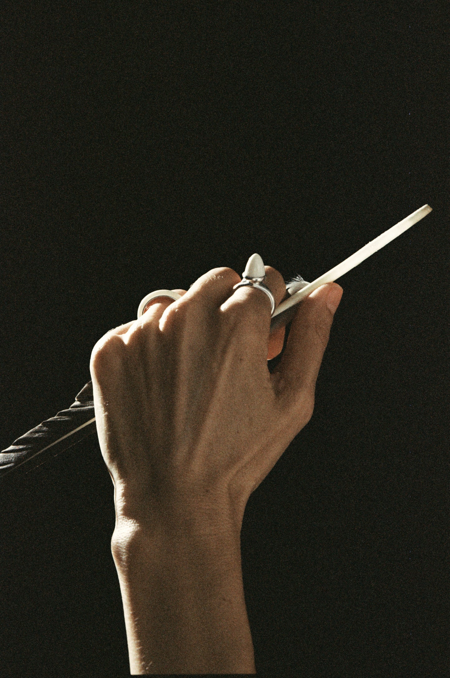 RIVERLAKE Seed Enclave Ring crafted from natural sheep horn, showcasing unique texture and organic shape.